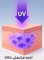 اشعه فرابنفش (UV): عامل پنهان در آسیب‌های پوستی و سلولی